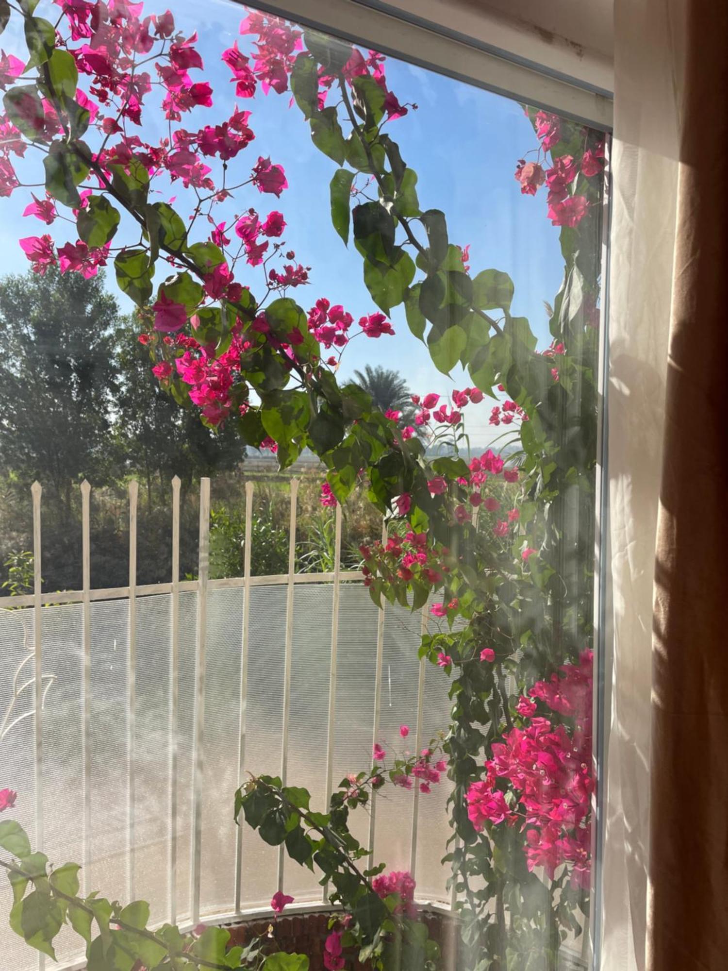 Karima House Hotel Luxor Kültér fotó